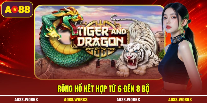 Rồng Hổ kết hợp từ 6 đến 8 bộ